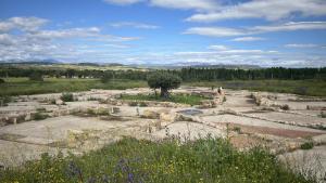 villa romana de Valdetorres de Jarama