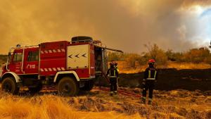 ganado y pastos bomberos de la Comunidad de Madrid vigilando el ganado y los pastos