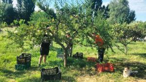 Alumnado aprendiendo al manejo de frutales