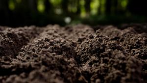 abono orgánico para suelos agrícolas 