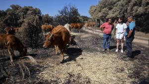 Díaz Ayuso anima a ciudadanos y turistas a visitar la Sierra Oeste