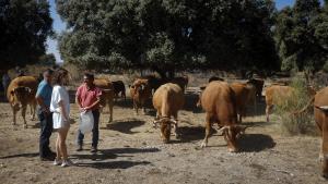 Díaz Ayuso anima a ciudadanos y turistas a visitar la Sierra Oeste