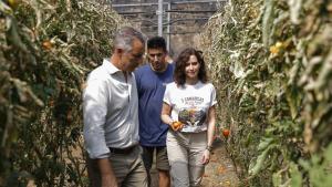 La presidenta Isabel Díaz Ayuso visitando una explotación agrícola afectada por los incendios de la Sierra Oeste