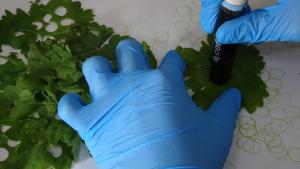 Laboratorio de Genotipado de Vid del IMIDRA