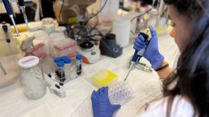 Investigadora del Hospital público La Paz
