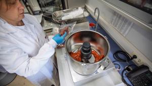 expertos del IMIDRA sustituyen la grasa animal por esta emulsión vegetal