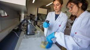 expertos del IMIDRA sustituyen la grasa animal por esta emulsión vegetal