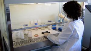 Laboratorio de Genotipado de Vid del IMIDRA