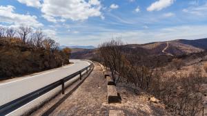 Montes públicos afectados por los incendios de este verano