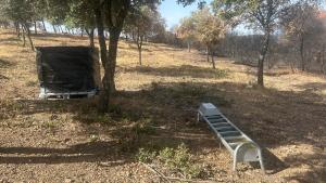 alimento y agua entre la fauna silvestre afectada por el gran incendio de la Sierra Oeste