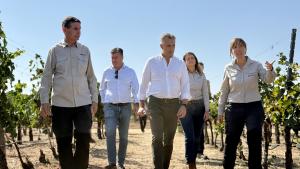 El consejero Carlos Novillo durante el comienzo de la vendimia que los alumnos de la Escuela de la Vid realizan en la finca El Socorro del IMIDRA