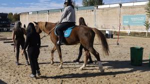 La Comunidad de Madrid desarrolla un programa de terapia asistida con caballos para lograr la recuperación de mujeres víctimas de violencia La consejera Dávila en el Centro Ecuestre Villafranca