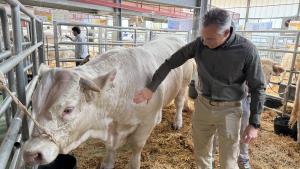 El consejero Carlos Novillo durante la 88ª edición de la Subasta Nacional de Ganado Selecto en Colmenar Viejo