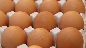 Huevos en una huevera