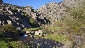 Río en la Sierra de Guadarrama