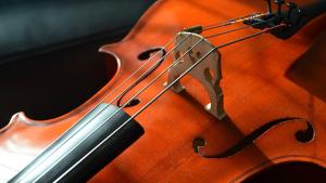 Violoncello