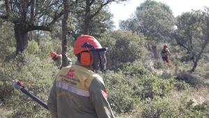 Retenes forestales Retenes forestales