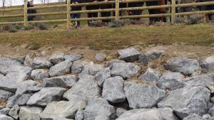 Los parques periurbanos de la Comunidad sirven de pulmón a las áreas urbanas próximas