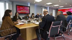 Consejo Asesor para el acceso al empleo público de personas con discapacidad
