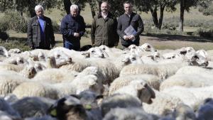 Pedro Rollán en la Dehesa Boyal de San Sebastián de los Reyes