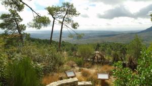 Vista desde el mirador del Arboreto Luis Ceballos Vista desde el mirador del Arboreto Luis Ceballos