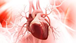 Corazon