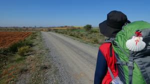 Un peregrino por el Camino de Santiago