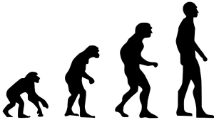 Siluetas de la evoluci`´on humana