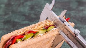 Imagen de un sandwich de dieta