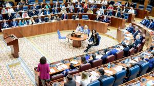 Diputados en la Asamblea de Madrid
