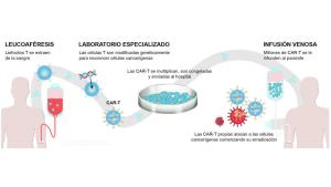 Proceso de los medicamentos CAR-T