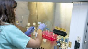 Profesional de Investigación