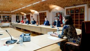 Isabel Díaz Ayuso durante la reunión con expertos médicos