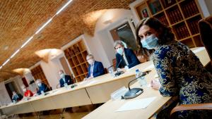 Isabel Díaz Ayuso durante la reunión con expertos médicos