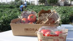 Tomates del IMIDRA