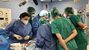 Equipo médico realizando un trasplante Equipo médico realizando un trasplante en La Paz