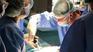 profesionales del hospital gregorio marañón