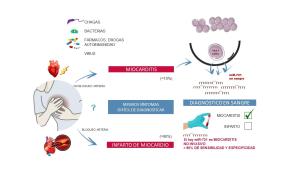Primer Biomarcador 