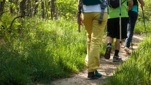 Desarrollamos un proyecto pionero para disminuir la huella de carbono en la Sierra de Guadarrama