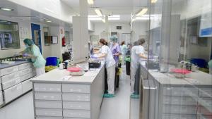 profesionales del hospital gregorio marañón