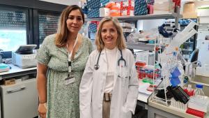 grupo de Tumores Digestivos y Neuroendocrinos del Instituto de Investigación del 12 de Octubre i+12