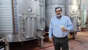 La Comunidad de Madrid finaliza la temporada de vendimia con más de 9 millones de kilos de uva recogida Ángel de Oteo, director general de Agricultura y Ganadería en la Bodega Pedro García de Colmenar de Oreja