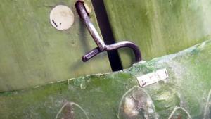 Modelo didáctico de bellota