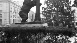 Foto en blanco y negro del Oso y el Madroño junto a un árbol de Navidad