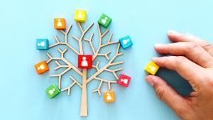 arbol dados