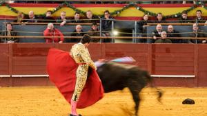 Novillero toreando