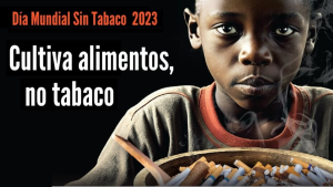 Imagen de un niño con una bandeja con cigarrillos