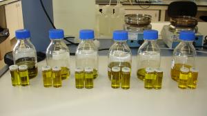 Muestras de aceite en el laboratorio agrolimentario