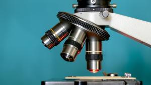 investigación en ganadería