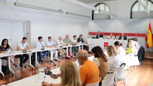 La consejera Ana Dávila en el Pleno del Consejo Regional de Personas Mayores